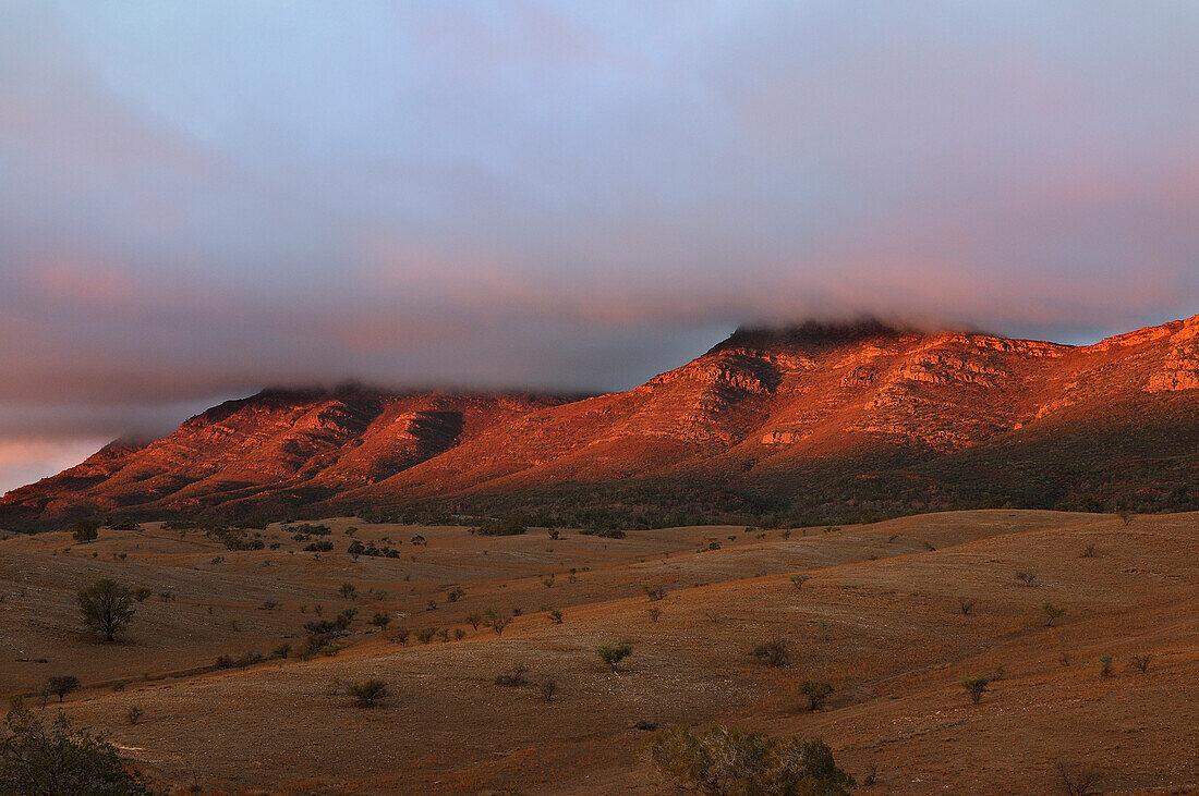 Australia, South Australia, sunrise on Flinders Ranges National Park