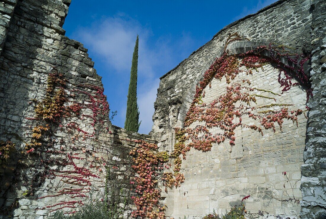 France, Languedoc, Gard, Villeneuve-lès-Avignon, Chartreuse du Val de Bénédiction