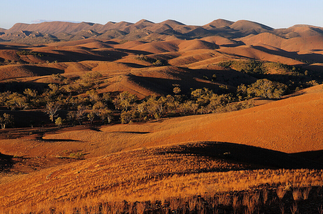 Australia, South Australia, Flinders Ranges National Park, sunset on Flinders mountains