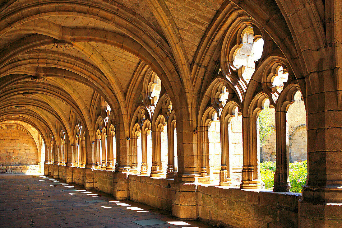 France, Auvergne, Haute Loire, gothic cloister