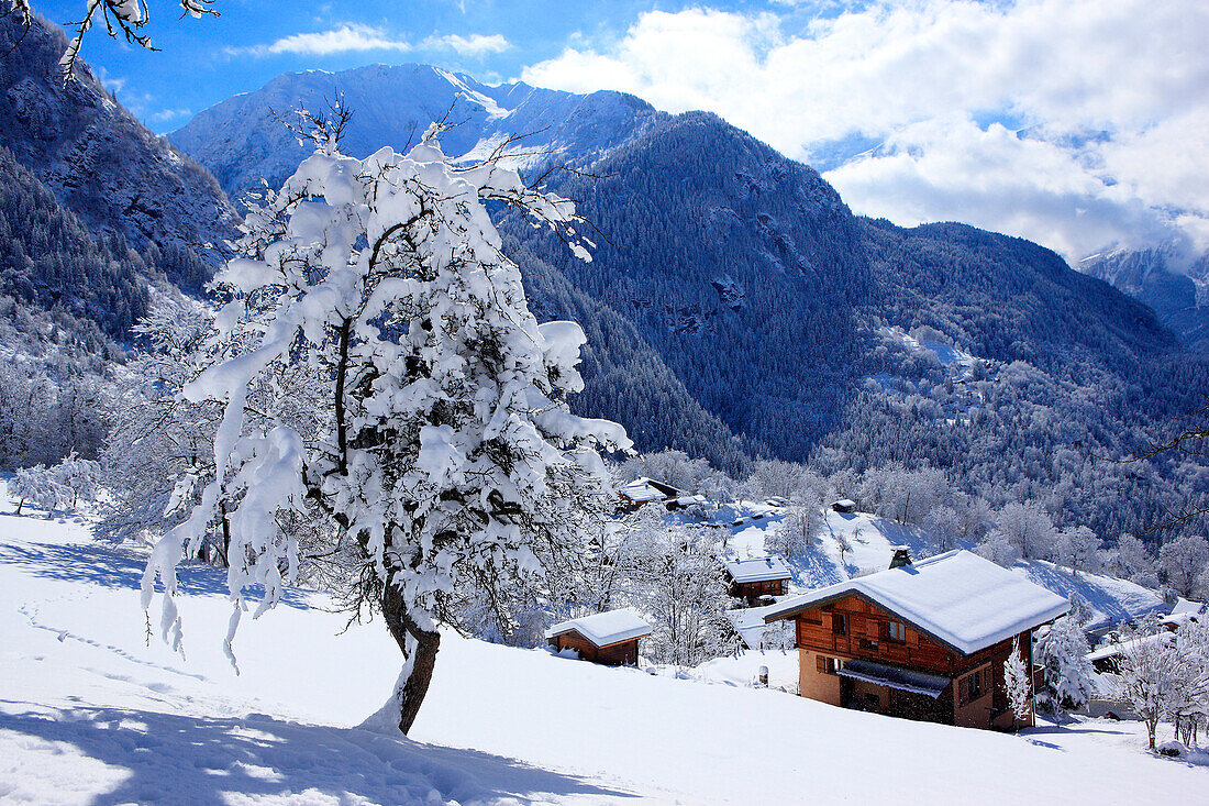 France, Rhone-Alpes, Alps, Haute Savoie, chalet in snowed landscape in Chamonix Valley
