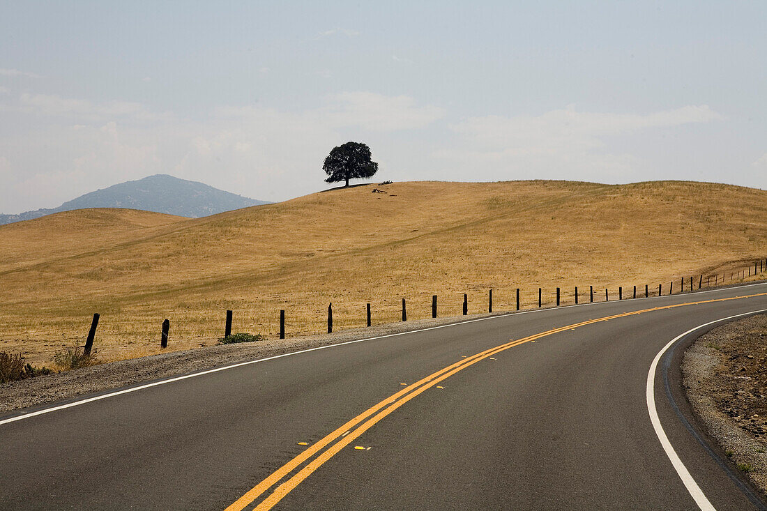 US, California, landscape