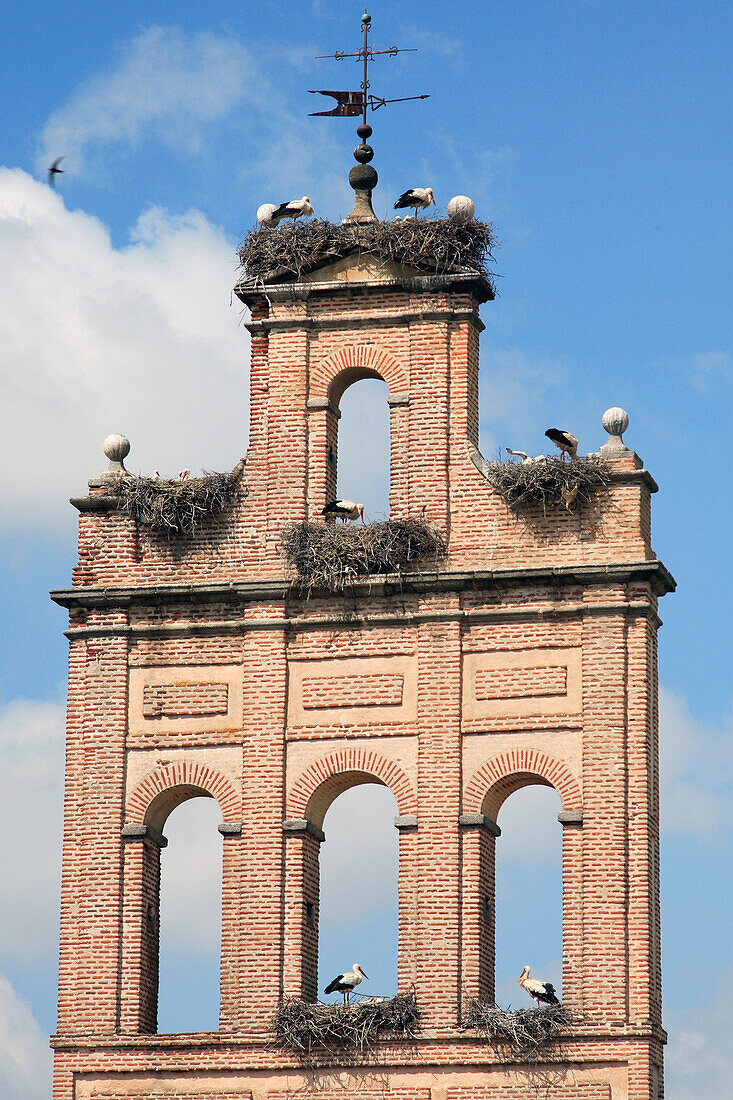 Spain, Castilla Leon, Ávila, tower with stork nests