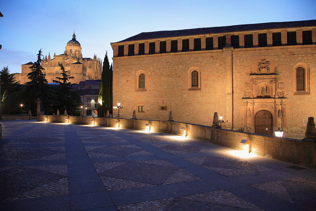 Spain, Castilla Leon, Salamanca, Cathedral, Convento de las Duenas convent