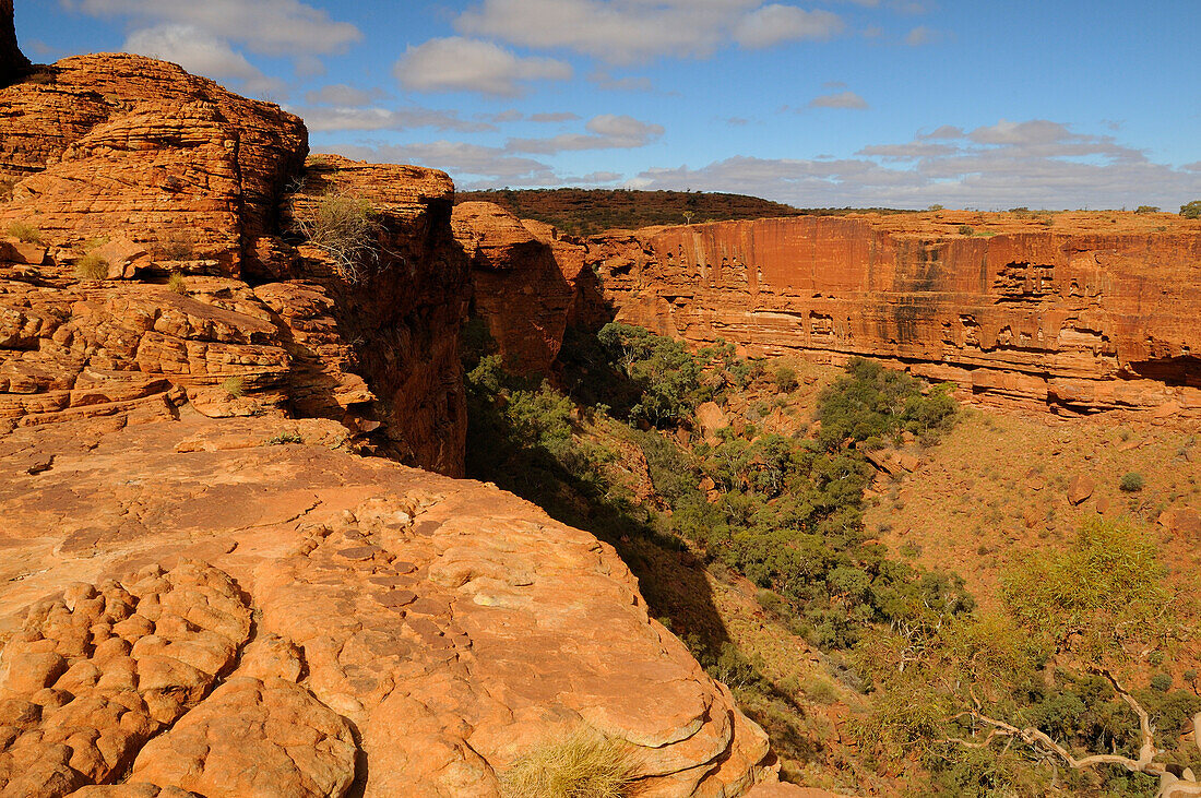 Mereenie Sand Stone, Kings Canyon, Watarrka National Park, Northern Territory, Australia