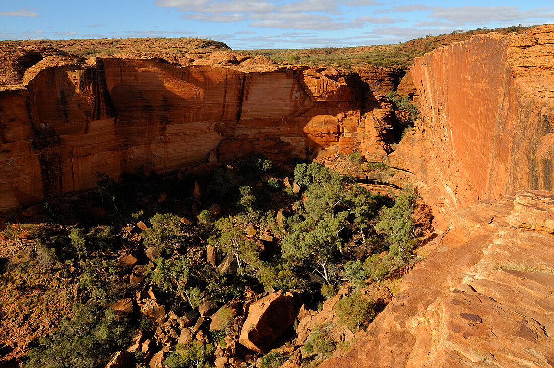 Kings Canyon, Watarrka National Park, Northern Territory, Australia