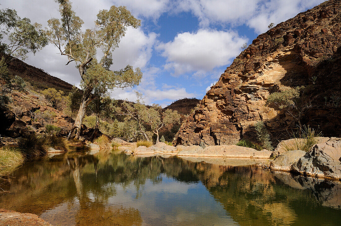 Blinman Creek, Flinders Ranges, South Australia, Australia