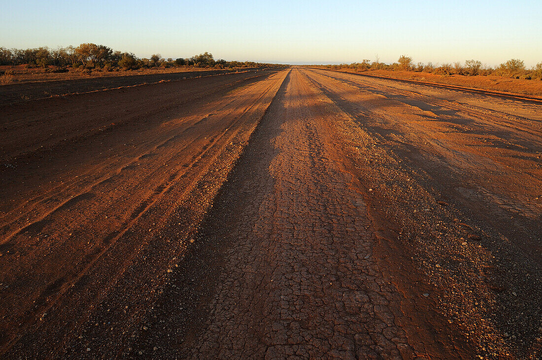 Outback track, New South Wales, Australia