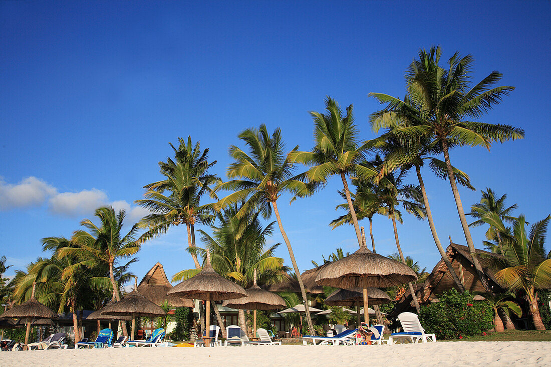 Mauritius, Trou aux Biches, beach, palms