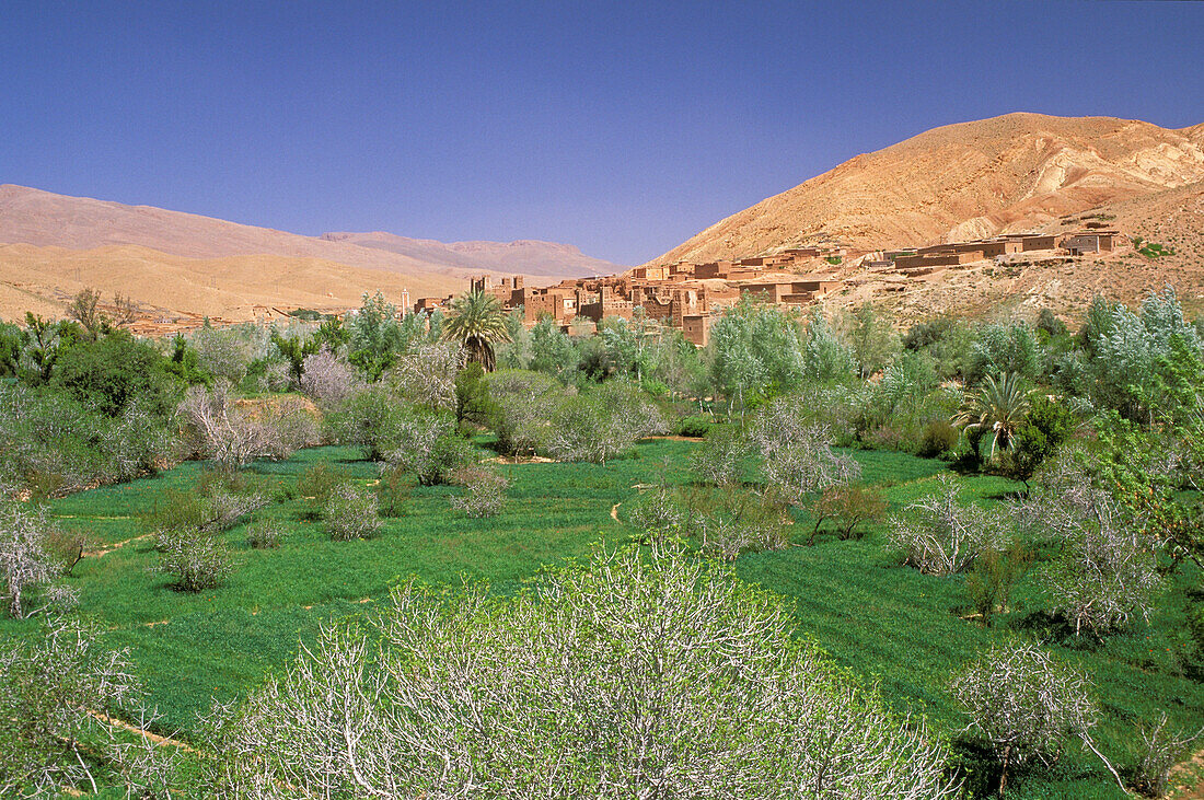 Morocco, Dadès valley, Ait-Arbi kasbah