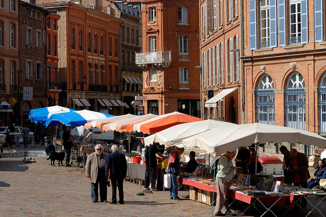 France, Midi-Pyrénées, Hautes-Pyrénées, Toulouse, second-hand book market on Saint-Etienne square