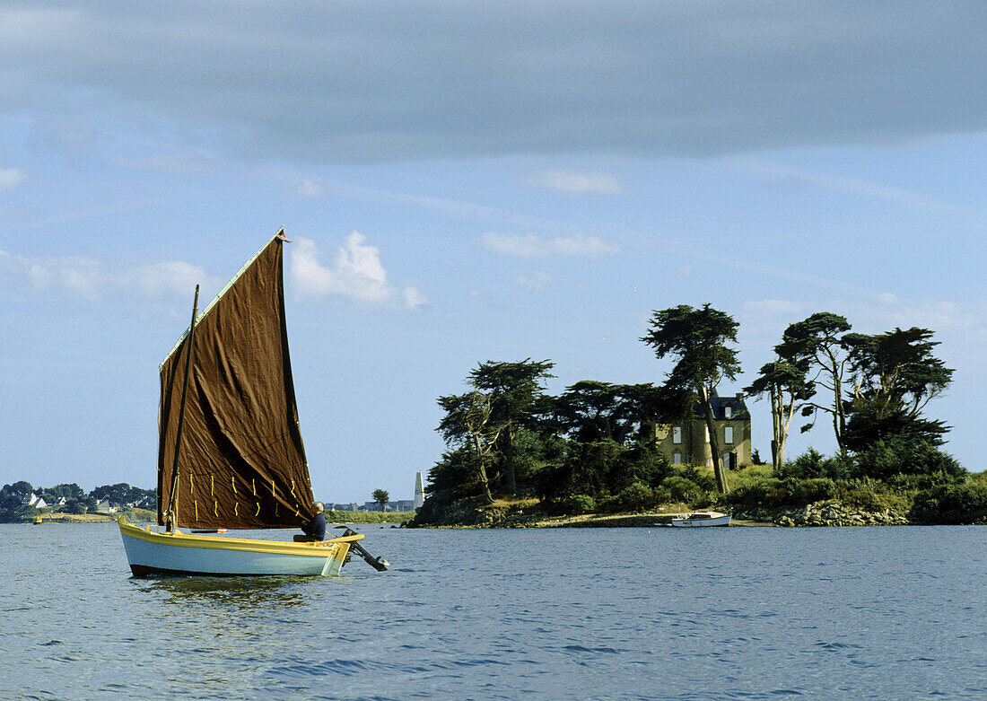 France, Brittany, Morbihan gulf, Grand Vézid island