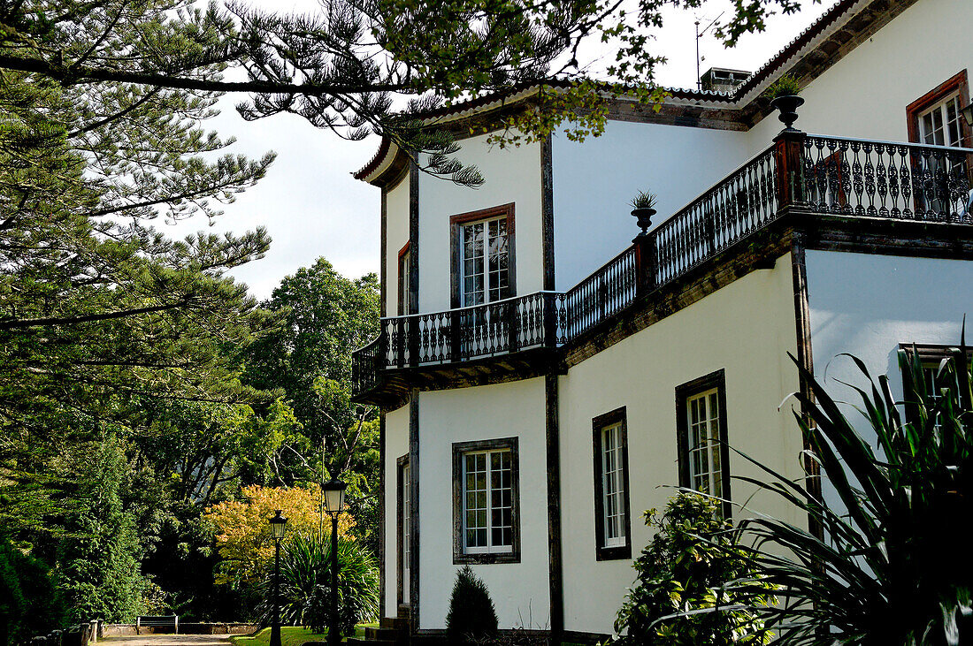 Azores, S. Miguel island, Furnas, Terra Nostra garden