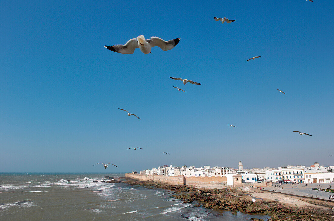 Morocco, Essaouira, old waterfont city behind ramparts