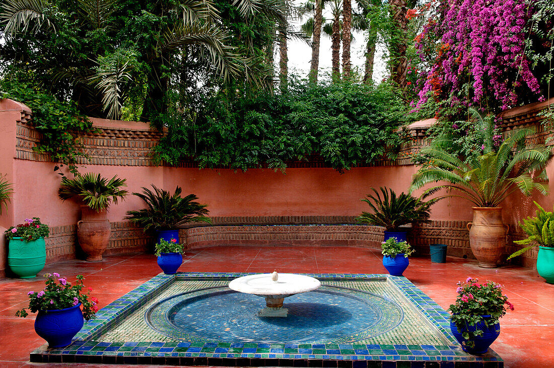 Morroco, City of Marrakesh, Majorelle Garden