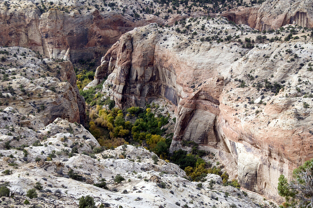 US, Utah, Boulder village area, on the Utah's All-American road, Highway 12