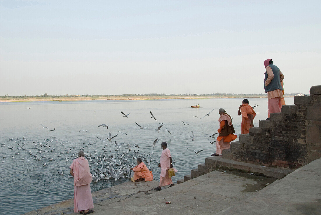 India, Uttar Pradesh, Varanasi (Benares), river Ganges, sadhus feeding seagulls
