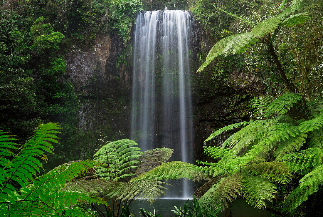 Australia, Queensland, Atherton tableland, Millaa Millaa waterfalls
