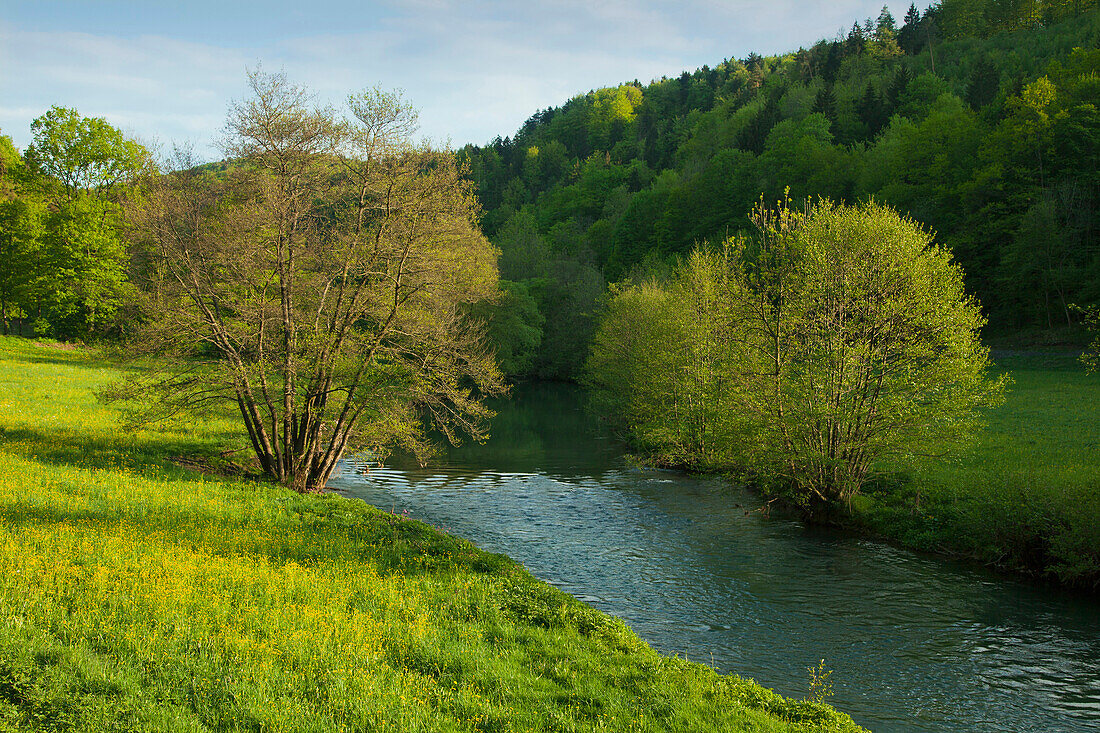 Fluss im Wiesenttal, Fränkische Schweiz, Franken, Bayern, Deutschland, Europa