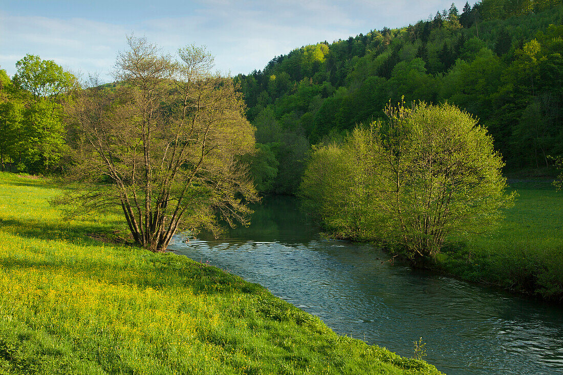 River at Wiesent valley, Fraenkische Schweiz, Franconia, Bavaria, Germany, Europe