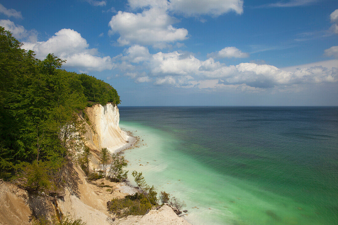 Kreidefelsen an der Küste, Nationalpark Jasmund, Insel Rügen, Ostsee, Mecklenburg-Vorpommern, Deutschland, Europa