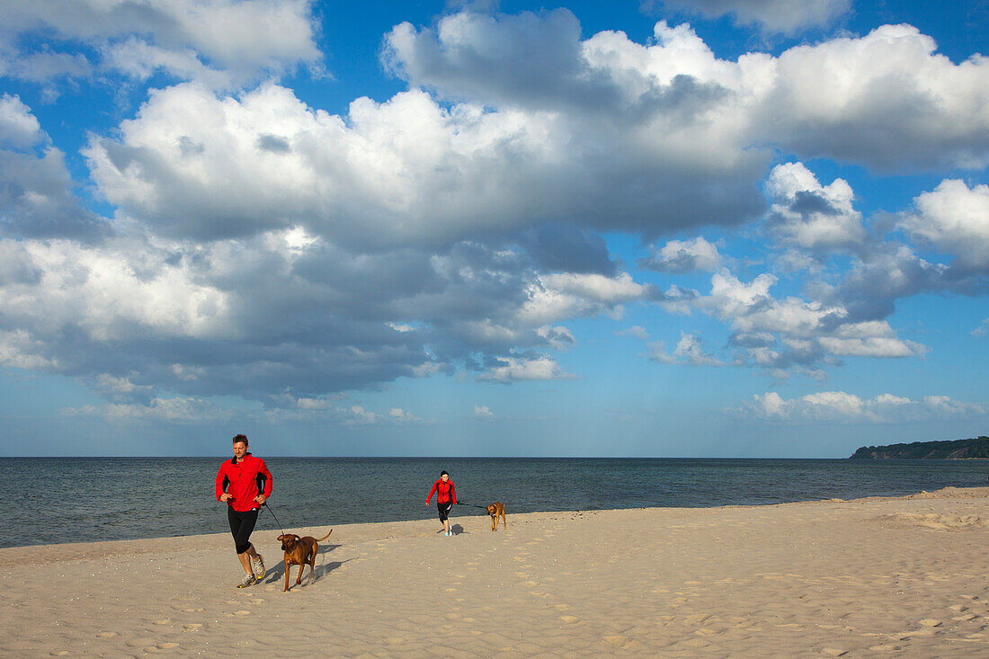 Man and woman jogging with dogs on the beach, Baabe seaside resort, Ruegen island, Baltic Sea, Mecklenburg-West Pomerania, Germany