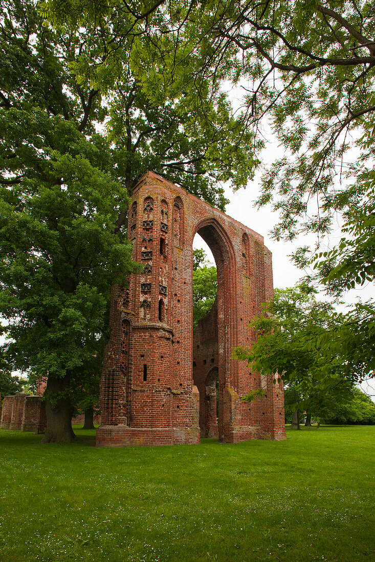 Ruine Kloster Eldena, bei Greifswald, Ostsee, Mecklenburg-Vorpommern, Deutschland