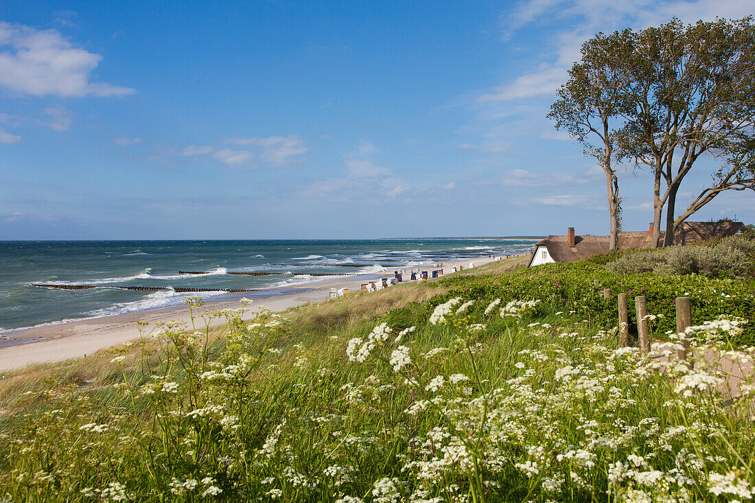 House with thatched roof on the beach, Ahrenshoop, Fischland-Darss-Zingst, Baltic Sea, Mecklenburg-West Pomerania, Germany