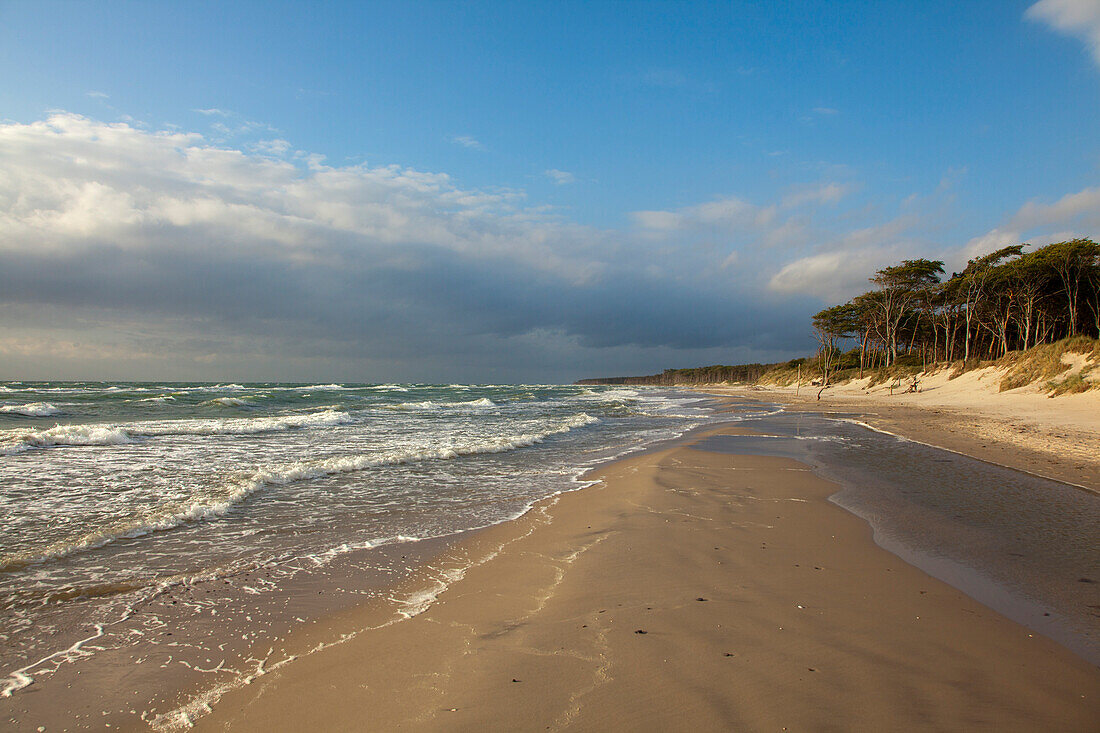 Gewitterwolken am Darßer Weststrand, Fischland-Darß-Zingst, Ostsee, Mecklenburg-Vorpommern, Deutschland