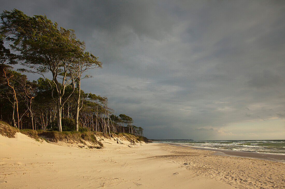 Thunderclouds at the western beach, Fischland-Darss-Zingst, Baltic Sea, Mecklenburg-West Pomerania, Germany, Europe