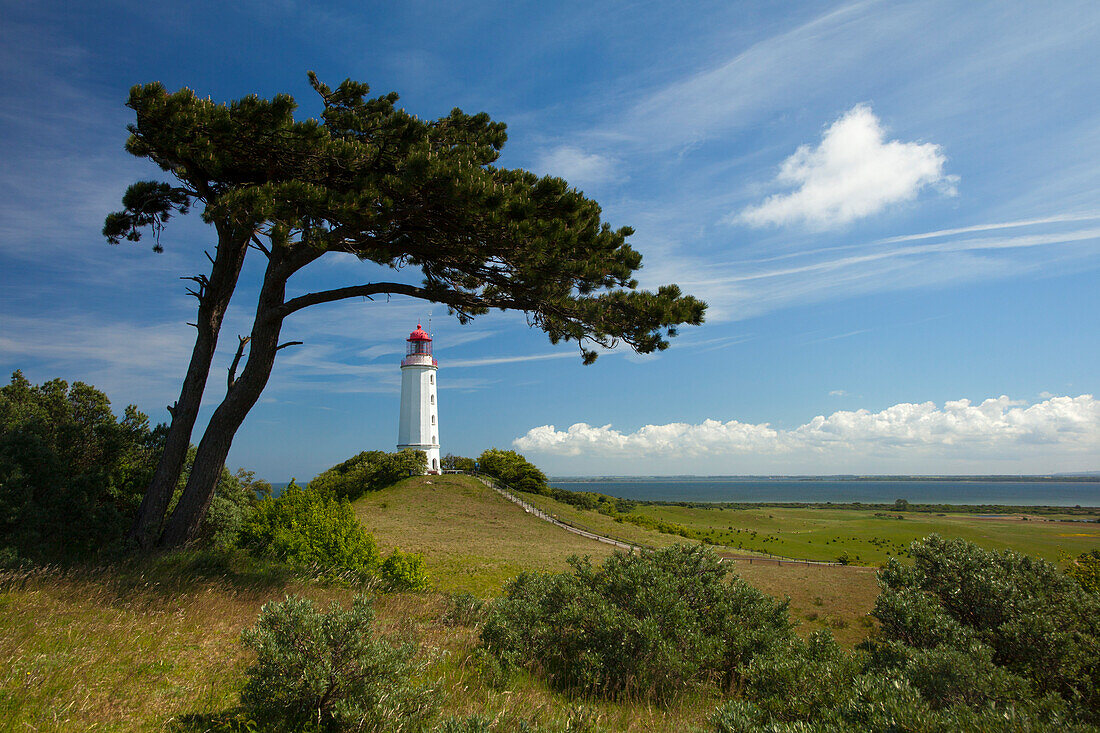 Lighthouse at the Dornbusch, Hiddensee island, Baltic Sea, Mecklenburg-West Pomerania, Germany