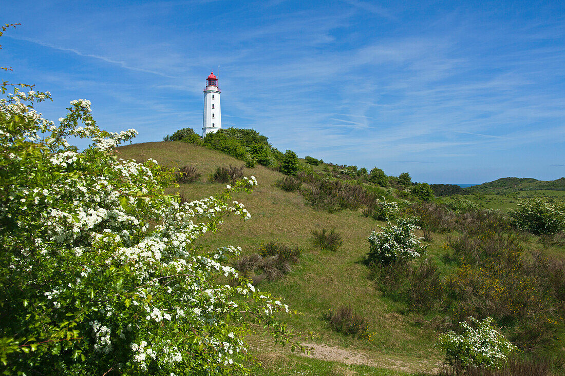 Leuchtturm Dornbusch, Insel Hiddensee, Mecklenburg-Vorpommern, Deutschland