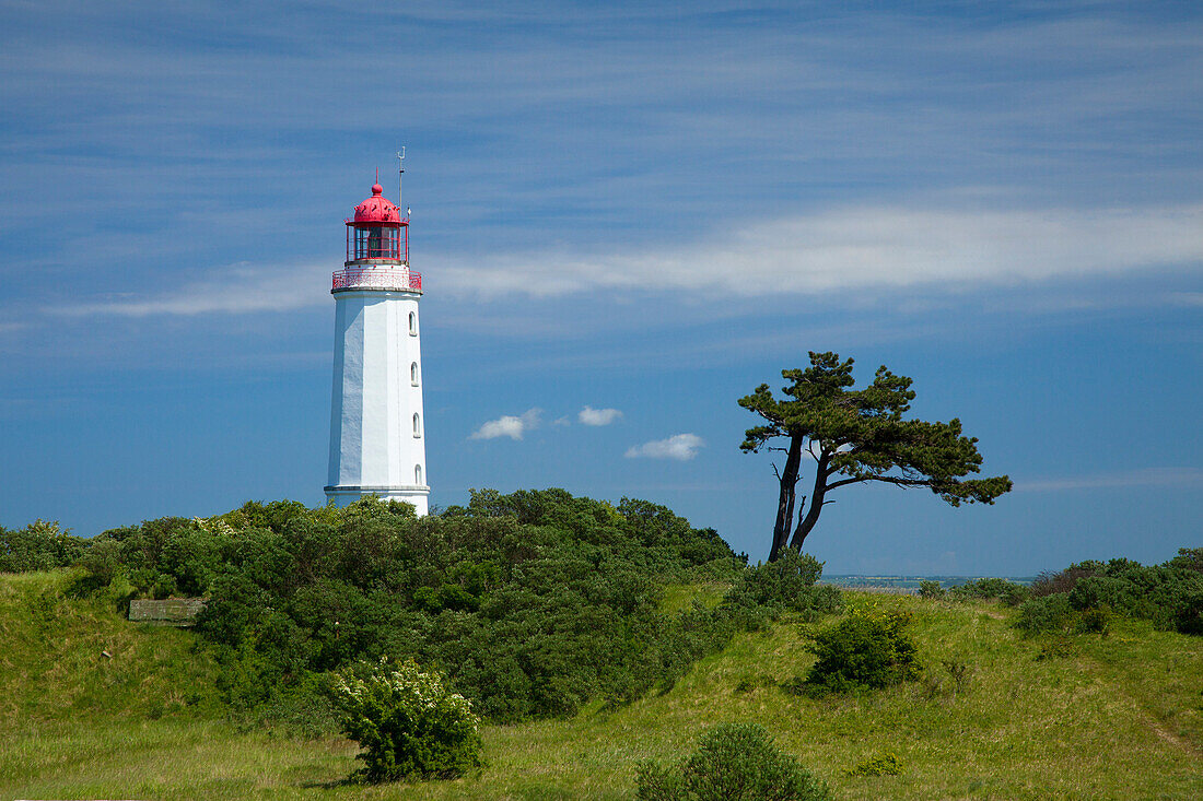 Leuchtturm auf dem Dornbusch, Insel Hiddensee, Ostsee, Mecklenburg-Vorpommern, Deutschland