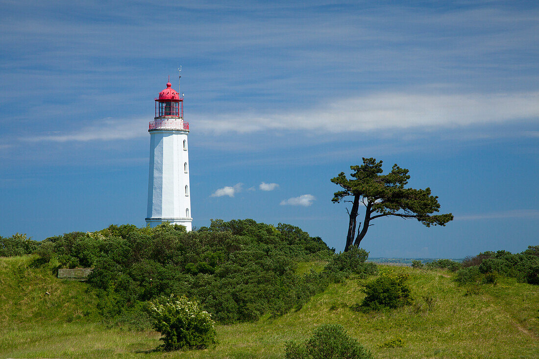 Lighthouse at Dornbusch, Hiddensee island, Baltic Sea, Mecklenburg-West Pomerania, Germany