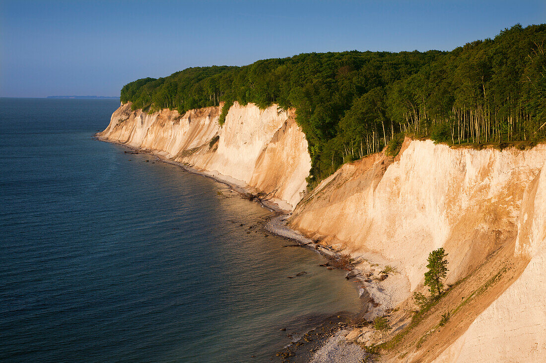 Chalk cliffs, Ruegen island, Jasmund National Park, Baltic Sea, Mecklenburg-West Pomerania, Germany