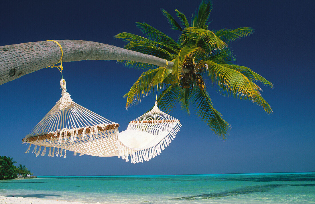 Of White Sands Beach Resort. Island of Dhidhoo Finohlu, Ari Atoll, Maldive Islands
