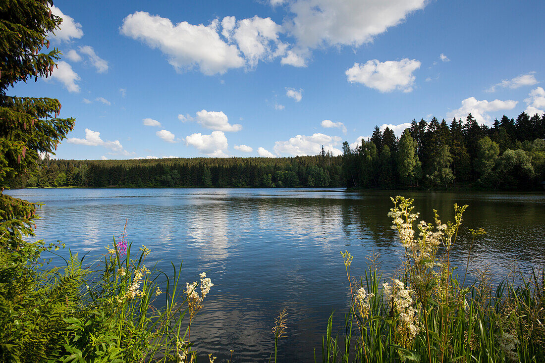Rappbode reservoir near Hasselfelde, Harz mountains, Saxony-Anhalt, Germany