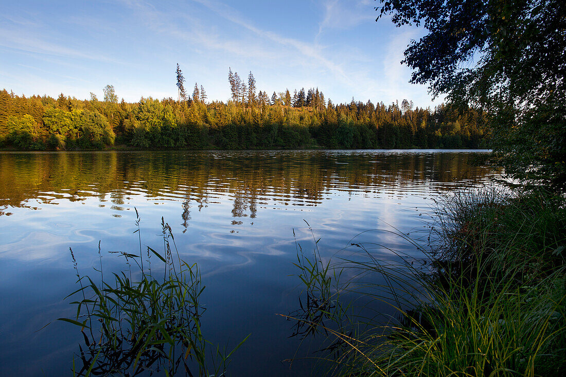 Rappbode Stausee bei Hasselfelde, Harz, Sachsen-Anhalt, Deutschland