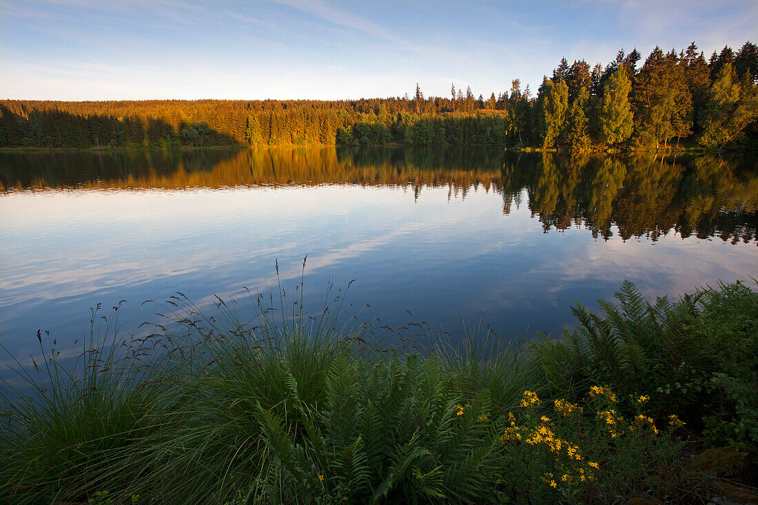 Rappbode reservoir near Hasselfelde, Harz mountains, Saxony-Anhalt, Germany