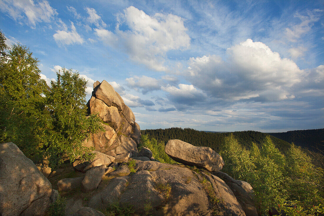 Feigenbaumklippe, Okertal bei Goslar, Harz, Niedersachsen, Deutschland