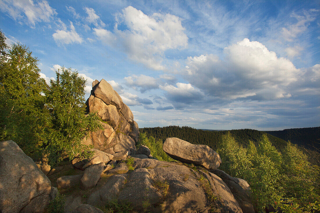 Rock formation Feigenbaumklippe, Oker valley near Goslar, Harz mountains, Lower Saxony, Germany