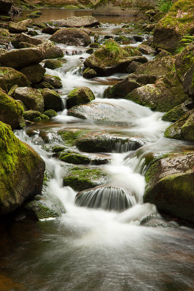 Ilse falls, Ilse valley, Heinrich-Heine hiking trail, near Ilsenburg, Harz mountains, Saxony-Anhalt, Germany