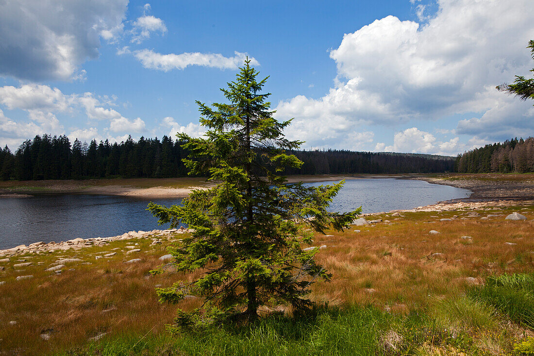 Landscape along the hiking trail around Oderteich, Harz mountains, Lower Saxony, Germany