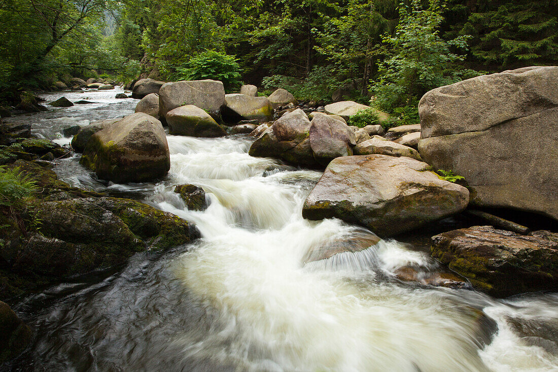 Oker valley near Goslar, Harz mountains, Lower Saxony, Germany