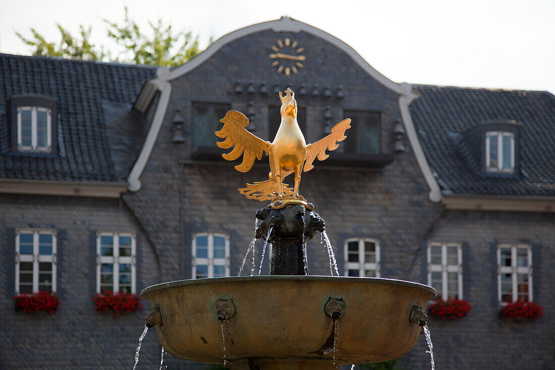 Eagle upon the market fountain, Goslar, Harz mountains, Lower Saxony, Germany