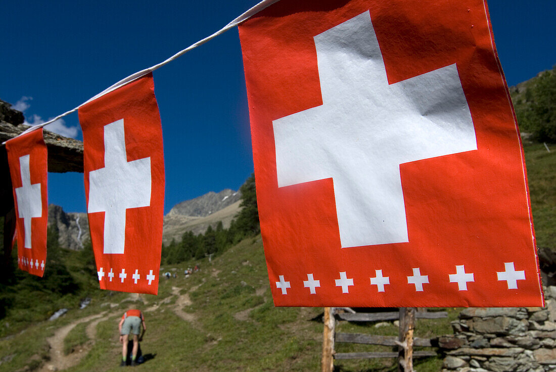 Switzerland, swiss flags in mountain scenery