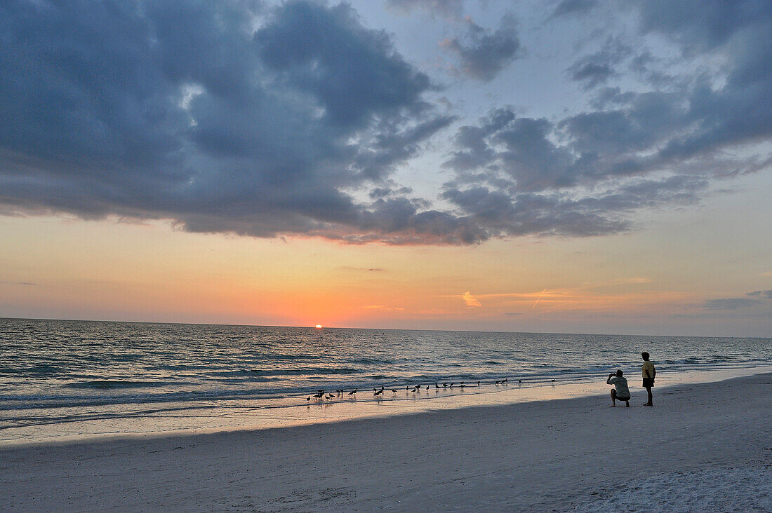 US, Florida, Tampa, couple on the beach at sunset