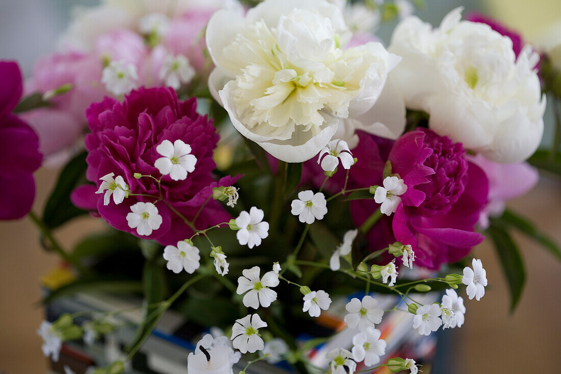 Peonies and white flowers bouquet