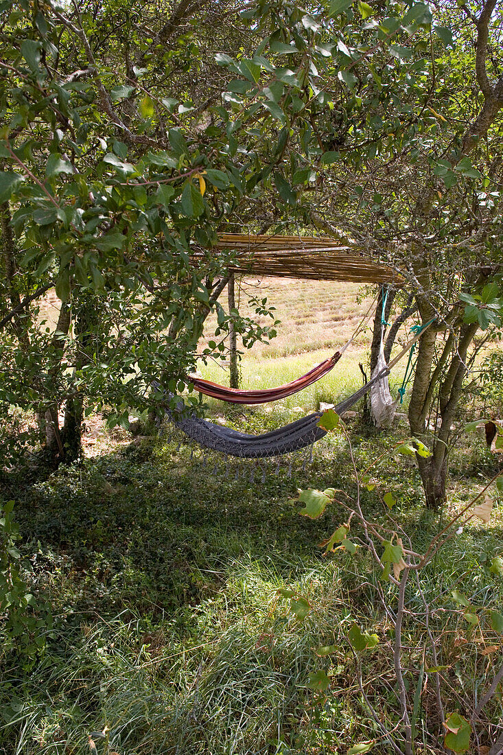 France, Provence, Vaucluse, hammocks under trees