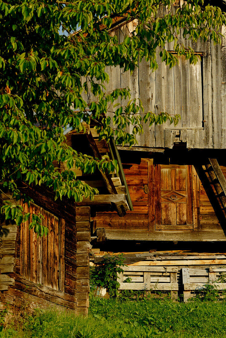 France, Alps, Savoie, barn in summer,detail, door